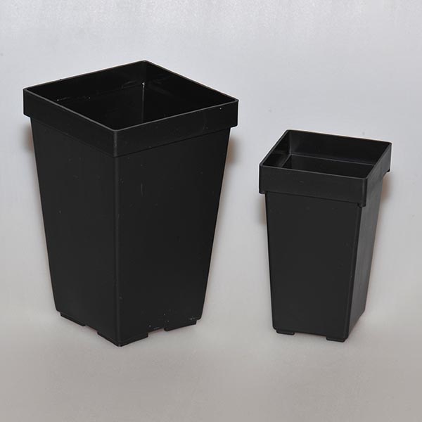 Auslaufartikel: Tiefe Vierkantkunststofftpfe, 5 x 5 x 8,5 cm