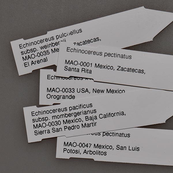 Stecketiketten 8x1,7 cm, MAO-0073, 100 Stck