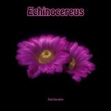 Echinocereus - The book by Duke Benadom